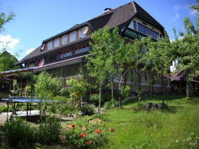 Гостиница Peaceful Apartment in Baden W rttemberg with Balcony  Бернау Шварцвальд